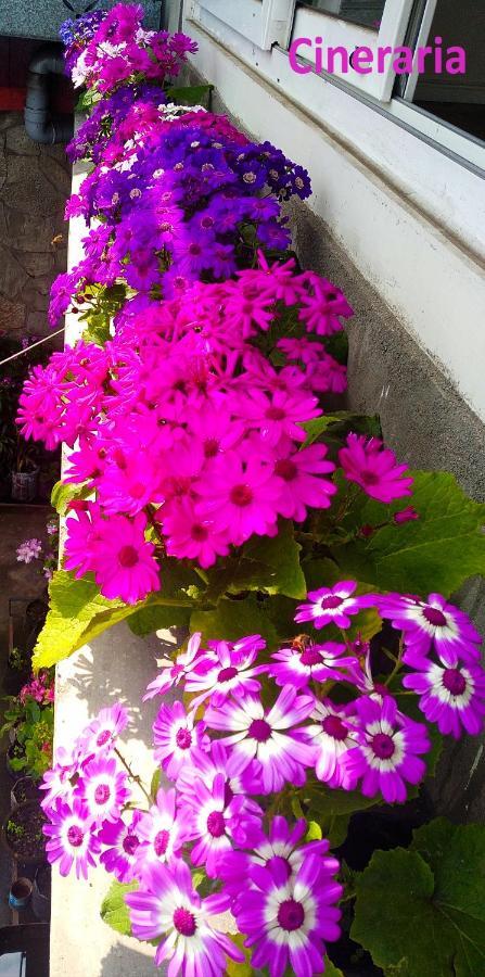 West Point Backpackers Hostel Darjeeling  Exterior photo